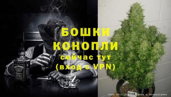 ECSTASY Михайловск