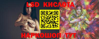стаф Гай
