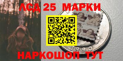 стаф Гай