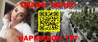 стаф Гай