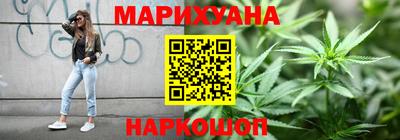 стаф Гай