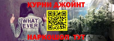 стаф Гай