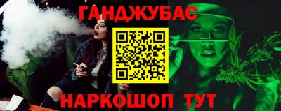 стаф Гай