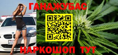 стаф Гай