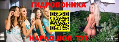 экстази Гатчина