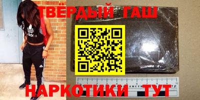 стаф Гай