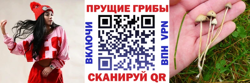 Псилоцибиновые грибы мухоморы  OMG ссылка  Фролово 