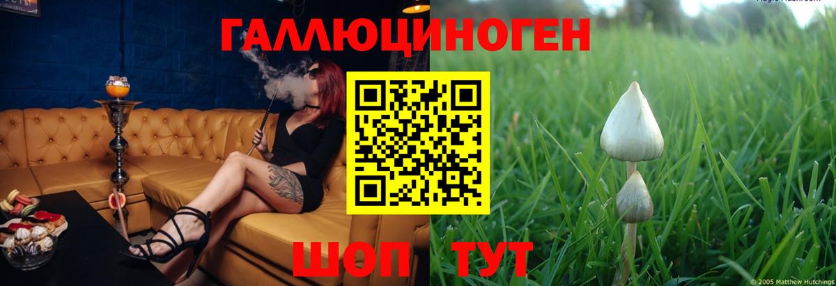 Галлюциногенные грибы GOLDEN TEACHER  купить наркотики сайты  Фролово  Галлюциногенные грибы GOLDEN TEACHER 