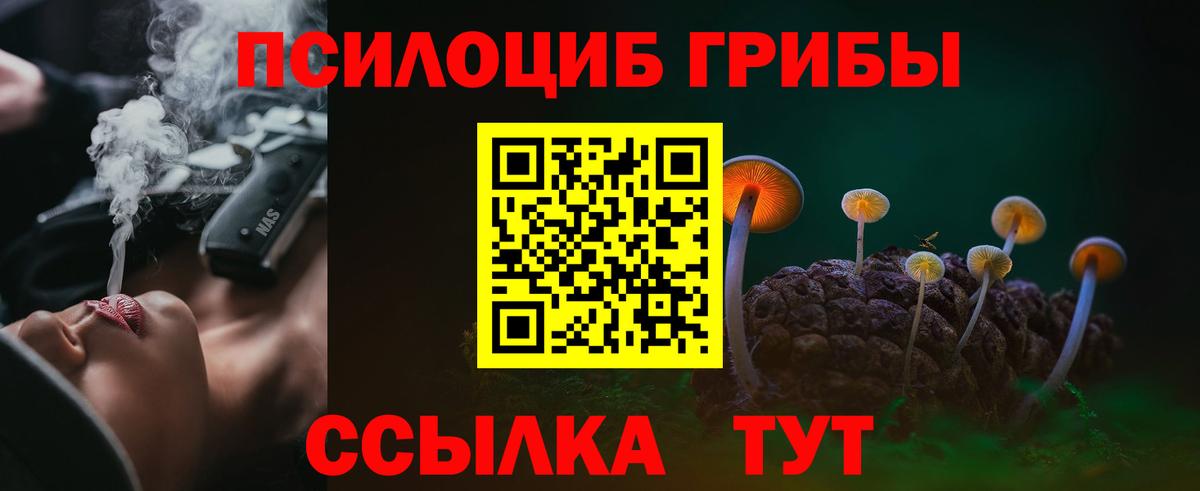 Фролово  Галлюциногенные грибы Cubensis  Вход с VPN 
