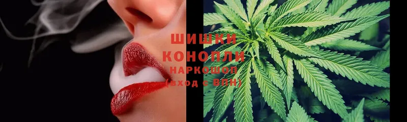 кракен   Фролово  Конопля White Widow 